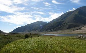 Nagqu Chiangtang Plateau Grassland